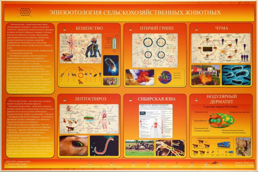 Электрифицированный стенд «Эпизоотология сельскохозяйственных животных»